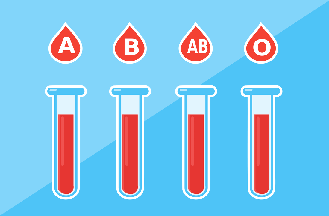 Existem 4 grupos sanguíneos – A, B, AB, O